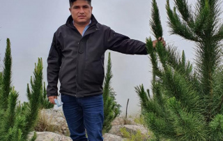 El viceministro Wilder Quiroz en la forestación